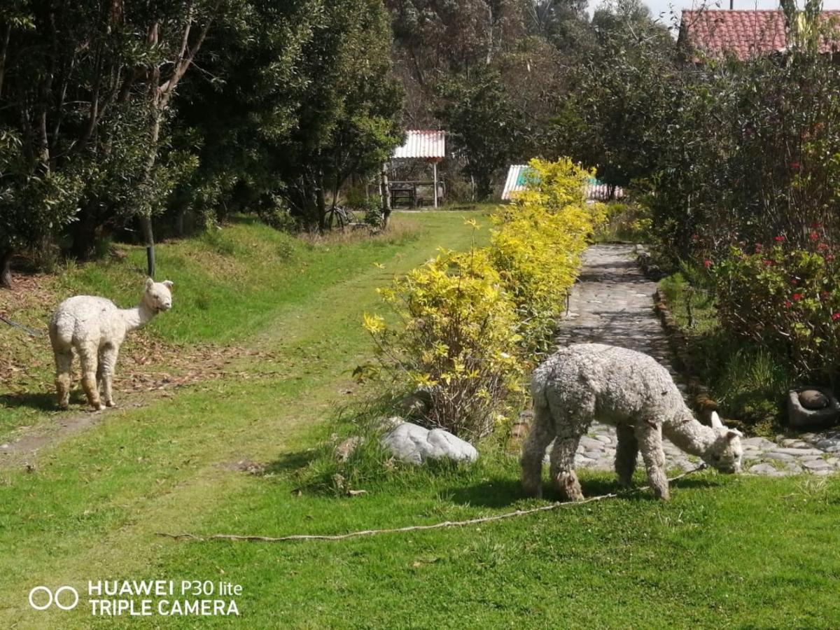 Chugchilán Hostal El Vaquero المظهر الخارجي الصورة